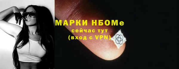 сатива Дмитровск