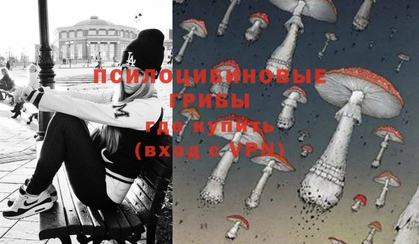 дмт Дмитров