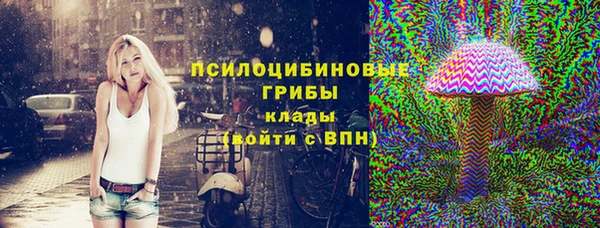 бошки Дмитриев