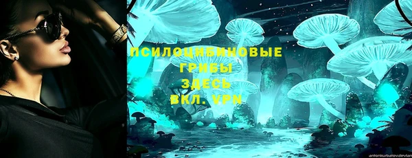 сатива Дмитровск