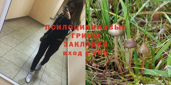 бошки Дмитриев