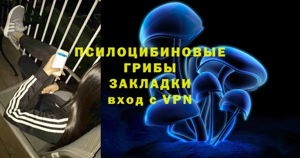 сатива Дмитровск