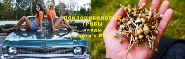 бошки Дмитриев