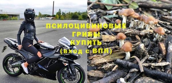 дмт Дмитров