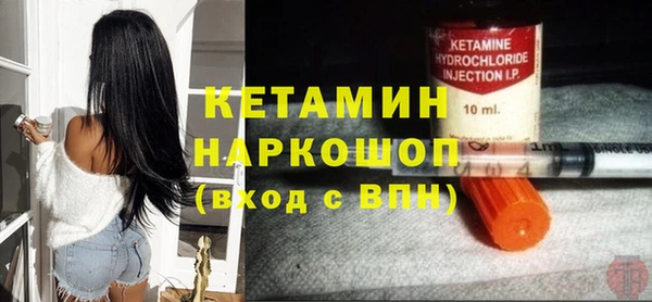 сатива Дмитровск