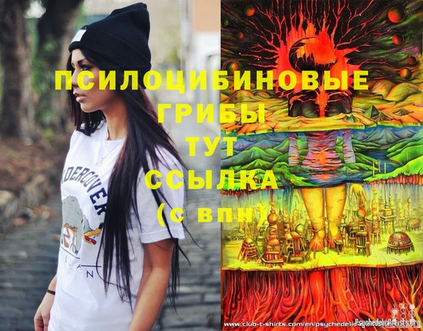 сатива Дмитровск