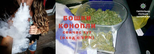 сатива Дмитровск