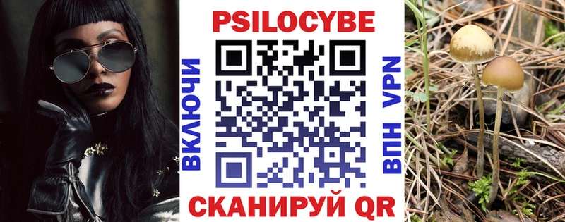 блэк спрут ссылка  дарнет шоп  Фурманов  Галлюциногенные грибы GOLDEN TEACHER 