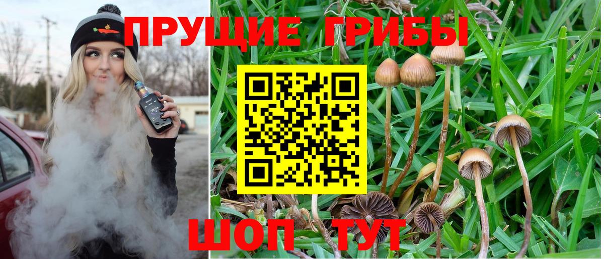 Псилоцибиновые грибы мухоморы Фурманов